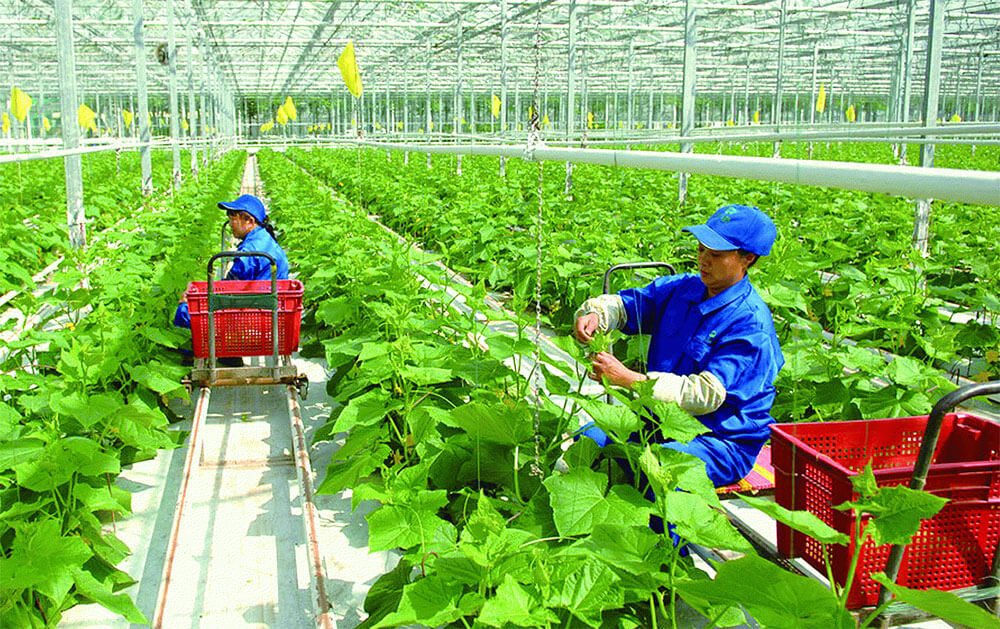 Nâng cao thu nhập người dân, giảm nghèo bền vững. Thu nhập của cư dân nông thôn cao hơn 2,5 - 3 lần so với năm 2020. Tỷ lệ hộ nghèo đa chiều ở nông thôn giảm bình quân 1 - 1,5%/năm.