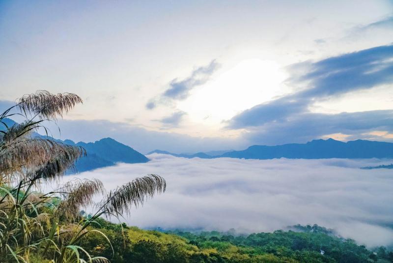 Ảnh 4: Biển mây mênh mông ở trên đèo Tằng Quái. Ảnh: Xuân Tư.