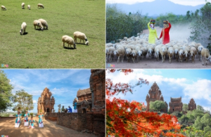 Những khoảnh khắc đẹp ở miền duyên hải