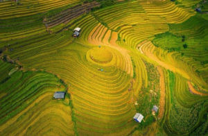 Mù Cang Chải vào top 50 điểm đến đẹp nhất thế giới
