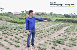 Thái Bình: Một mảnh đất tồn tại 2 sổ đỏ 