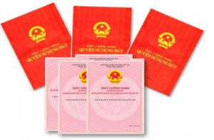Cho phép thanh toán nghĩa vụ tài chính về đất đai trên hệ thống thanh toán trực tuyến