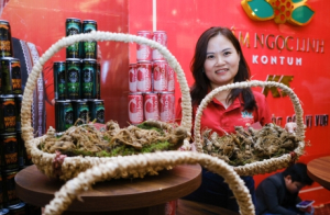 Làm gì để nâng tầm sâm Ngọc Linh thành thương hiệu quốc gia? 
