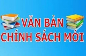 Vận chuyển vật liệu để rơi vãi sẽ bị phạt đến 4 triệu đồng