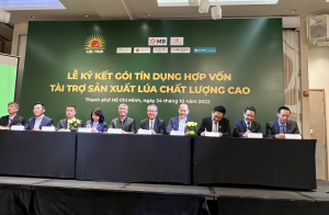 Tập đoàn Lộc Trời được cung cấp gói tín dụng 100 triệu USD để sản xuất lúa chất lượng cao