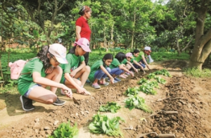 Tạo dựng nền nông nghiệp sinh thái gắn với phát triển du lịch