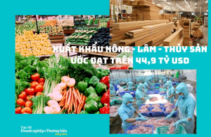 Xuất khẩu nông - lâm - thủy sản ước đạt trên 44,9 tỷ USD