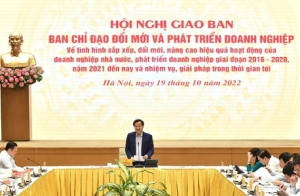 Sửa đổi, bổ sung về hoạt động của Ban Chỉ đạo Đổi mới và Phát triển doanh nghiệp