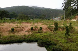 Gian nan trong hành trình đòi bồi thường đất tại Đà Lạt