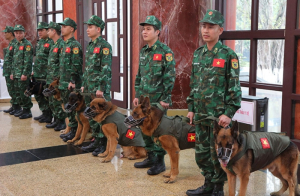 76 quân nhân tham gia cứu hộ tại Thổ Nhĩ Kỳ