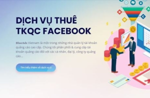BlueAds đưa giải pháp thông minh thuê tài khoản quảng cáo Facebook, Tiktok