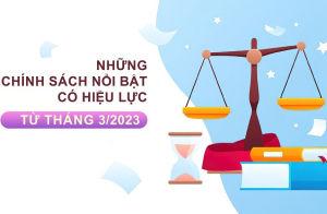 Một số chính sách mới của Chính phủ có hiệu lực từ tháng 3/2023