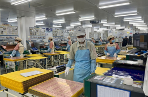 Phê duyệt Kế hoạch hành động thực hiện Chiến lược hợp tác đầu tư nước ngoài