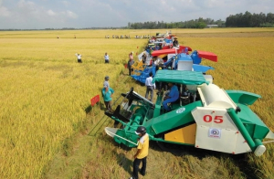 Mô hình đại điền là nền móng vững chắc để xây dựng nền nông nghiệp sinh thái, nông thôn hiện đại, nông dân văn minh