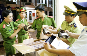 Tăng cường đấu tranh chống buôn lậu hàng giả dược phẩm, mỹ phẩm, thực phẩm chức năng, dược liệu