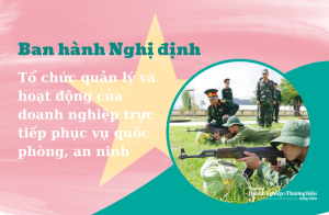 Ban hành Nghị định về tổ chức quản lý và hoạt động của doanh nghiệp trực tiếp phục vụ quốc phòng, an ninh 