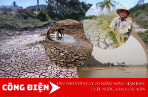 Chủ động triển khai các biện pháp cấp bách ứng phó với nguy cơ nắng nóng, hạn hán, thiếu nước, xâm nhập mặn