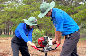 Trồng 1.000 cây thông ba lá tại phường Ia Kring, TP. Pleiku