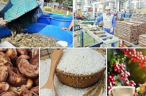 Điểm sáng xuất khẩu nông sản trong nửa đầu năm 2023