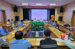 Thị trường 