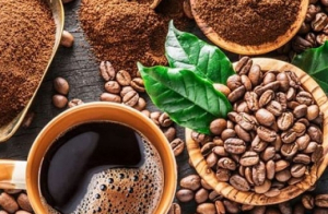 Giá cà phê hôm nay 6/7: Thị trường trong nước giảm nhẹ