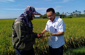 Điểm sáng nông nghiệp đại điền ở Thái Bình