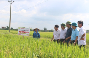 Phát triển Nam Định hướng tới tầm nhìn đến năm 2050
