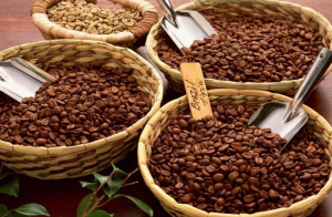 Giá cà phê hôm nay 12/8: cao nhất ở mức 67.700 đồng/kg