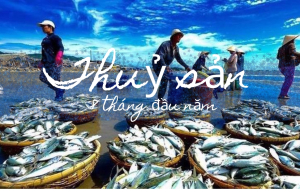 8 tháng đầu năm sản lượng thủy sản tăng tốt, ước đạt 5.931 nghìn tấn