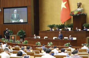 Đảm bảo thu nhập nông dân, chống sụt lún ở đồng bằng sông Cửu Long là vấn đề cấp bách