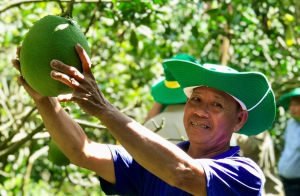 NPK Cà Mau công nghệ polyphosphate giúp nhà nông tăng lợi nhuận