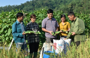 Khuyến nông cơ sở cần được xây dựng để hỗ trợ thiết thực cho nông dân