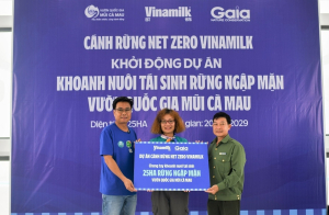 Đẩy mạnh dự án “cánh rừng Net Zero”, Vinamilk khoanh nuôi tái sinh 25ha rừng ngập mặn Cà Mau