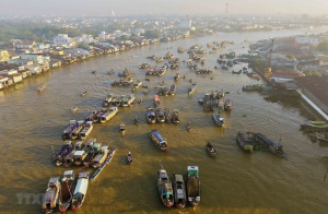 Thành lập 2 Hội đồng điều phối vùng