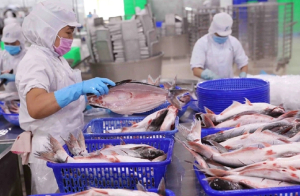 Xuất khẩu thủy sản vẫn “ngóng” tín hiệu, có thể đạt 9 tỷ USD trong năm nay
