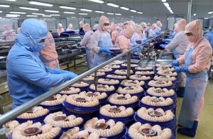 Xuất khẩu thủy sản năm 2023 có thể đạt khoảng 9,2 tỷ USD