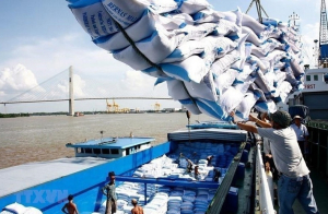  Philippines tuyên bố không giảm thuế nhập khẩu gạo, giá gạo xuất khẩu Việt Nam bật tăng