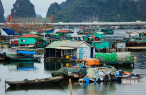 Nhiều động lực tăng trưởng, ngành nông nghiệp phát huy vai trò trụ đỡ