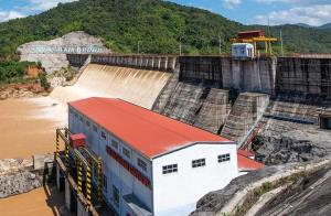 Công ty Cổ phần thủy điện Trung Nam Krông Nô bị xử phạt 360 triệu đồng