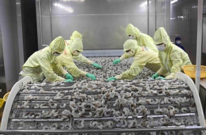 Cà Mau: Phân bổ gần 30 tỷ đồng để hỗ trợ doanh nghiệp nhỏ và vừa