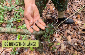 Bộ phim ngắn 