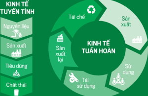 Doanh nghiệp tham gia thử nghiệm phát triển kinh tế tuần hoàn được hưởng nhiều ưu đãi