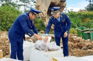 Lâm Đồng: Xử phạt hộ kinh doanh buôn bán thực phẩm đông lạnh không rõ nguồn gốc