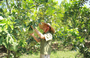 "Việt Nam có thể chủ động trong cung cầu phân bón nhưng không chủ quan"