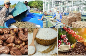Tập trung tăng sức sản xuất, bảo đảm đủ nguồn cung lương thực thực phẩm những tháng cuối năm