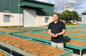 Gia Lai: Xây dựng vùng nguyên liệu nông lâm sản đạt chuẩn phục vụ tiêu thụ trong nước và xuất khẩu