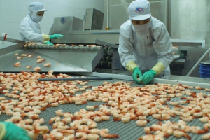Xuất khẩu thủy sản tính chuyện “đường dài”