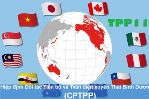 Toàn văn Hiệp định Đối tác Tiến bộ và Toàn diện xuyên Thái Bình Dương