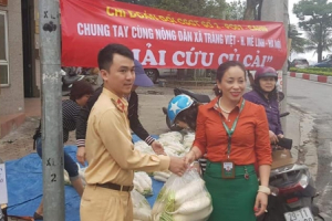 Đội CSGT số 2 chung tay "giải cứu" củ cải cùng bà con nông dân