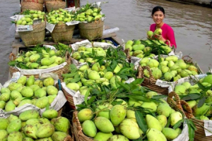 Đầu Xuân, ngành nông nghiệp đón nhiều tin vui